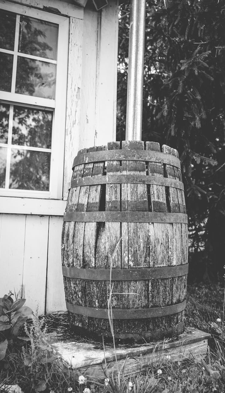 Rain Barrel